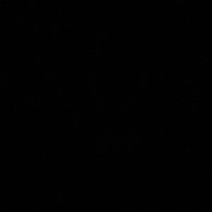 Meet your Posher, Caden